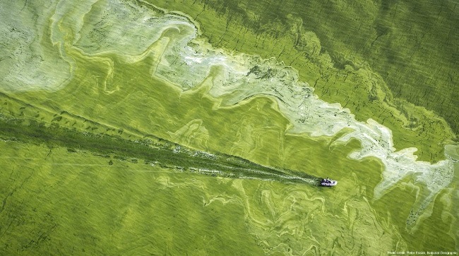 Miami Waterkeeper awarded $117,667 for NOAA’s Habitat Focus Area Grant