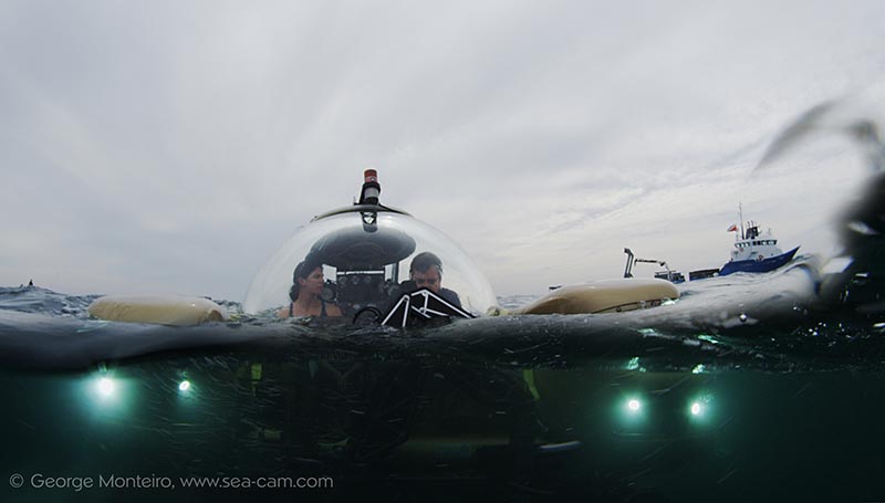 Submersing Ourselves in Protecting Ft. Lauderdale’s Reefs