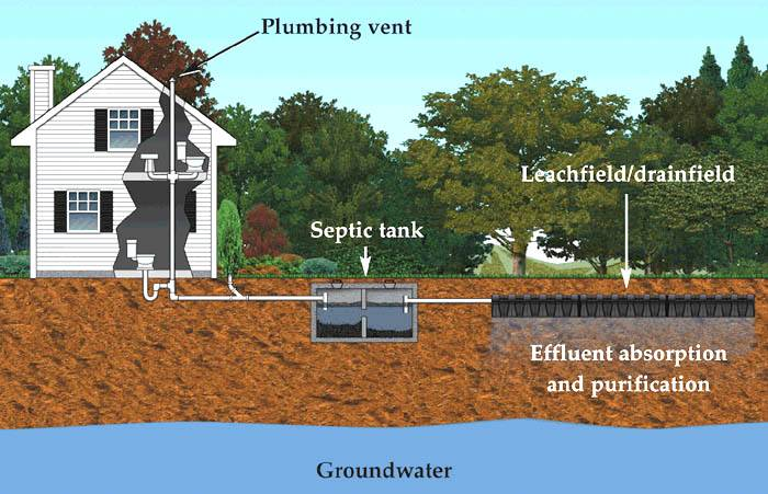 Septic Skeptics: What’s Really Going on in the Tank in your Backyard