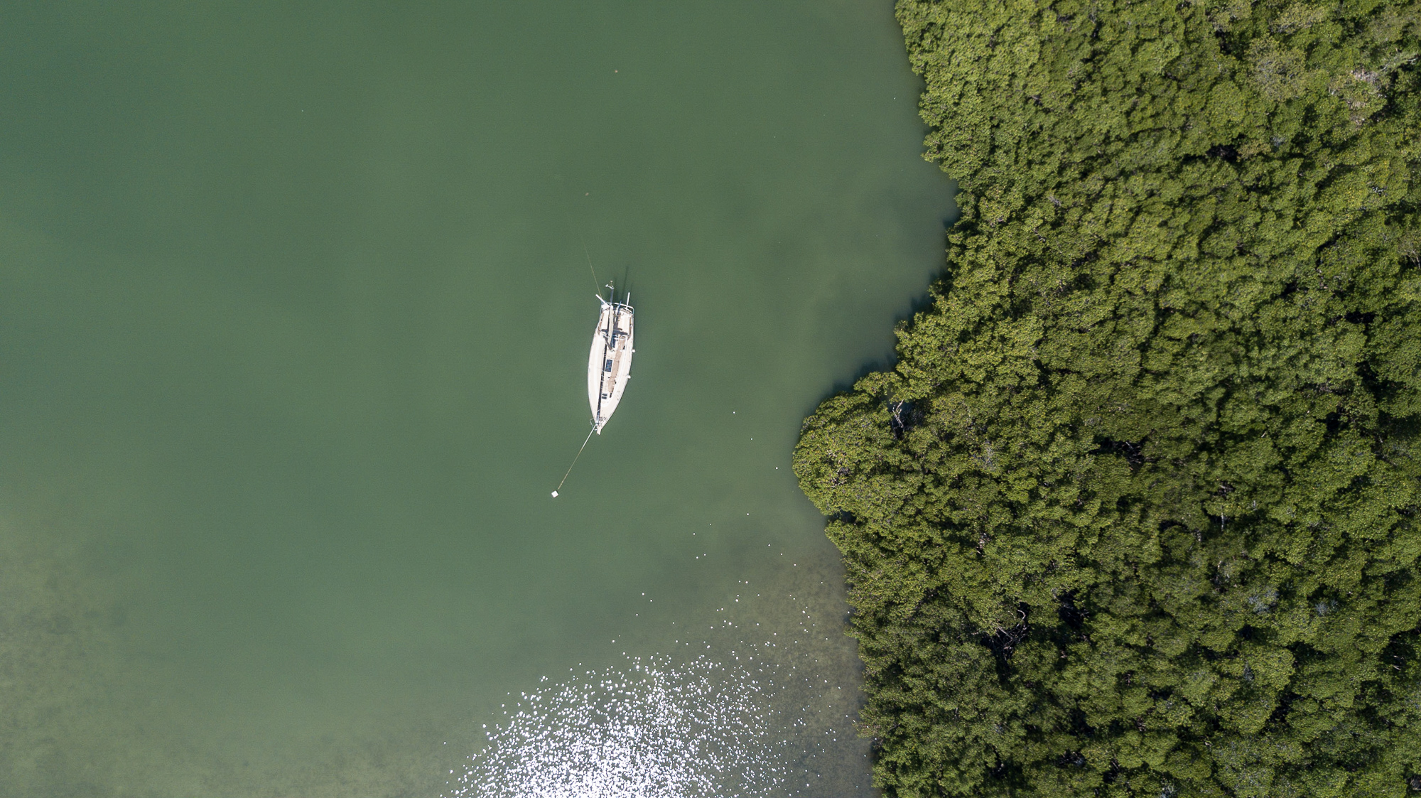 Miami Waterkeeper Weighs in on Army Corps Resiliency Projects