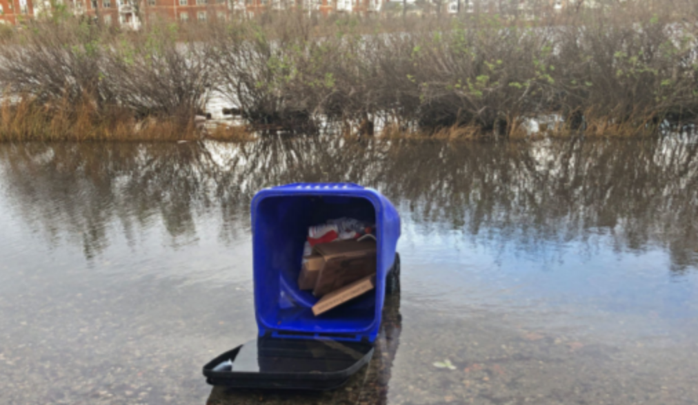 Worsening High Tide Flooding Washes Pollution into Water Bodies