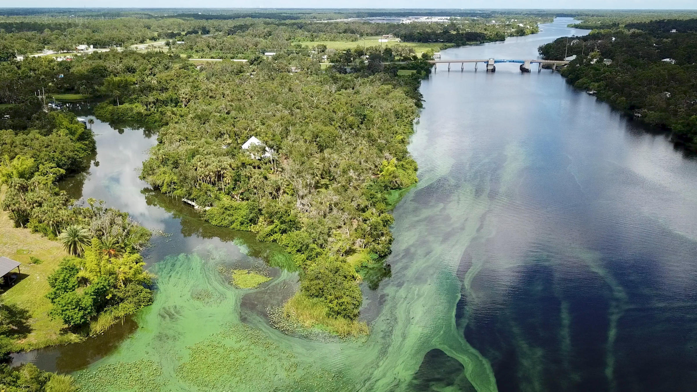 Waterkeepers Florida Submits Cyanobacteria Comment Letter