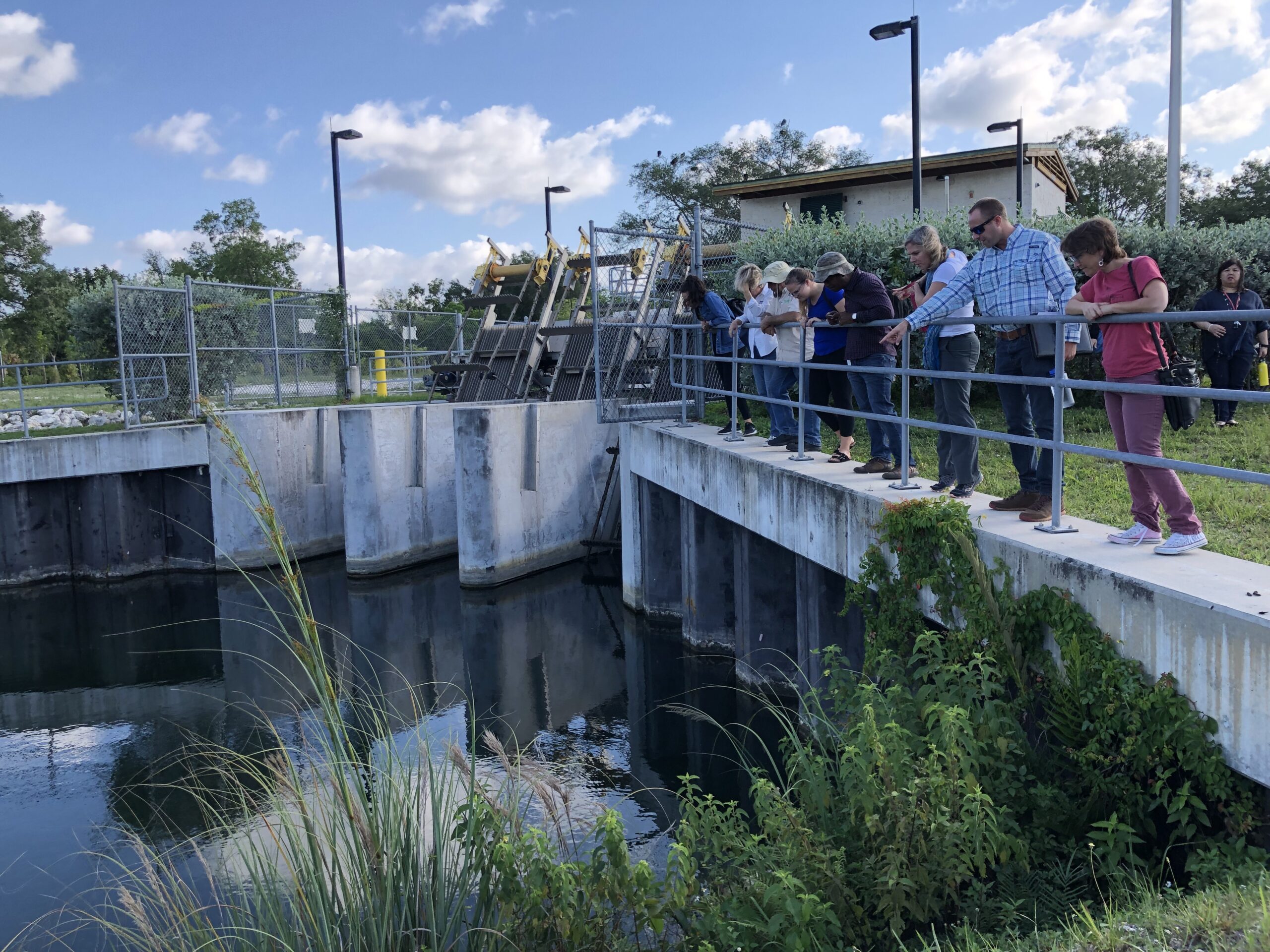 Coastal Wetlands Restoration & Wastewater Reuse