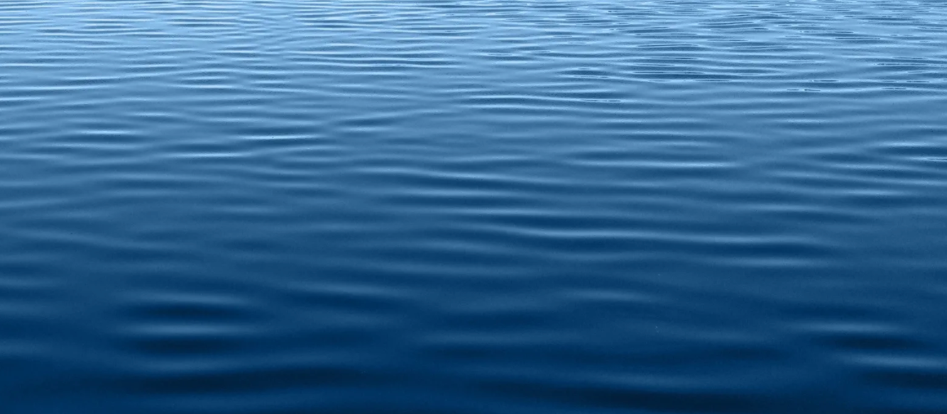 Flesh-Eating Bacteria: Staying Safe while Swimming