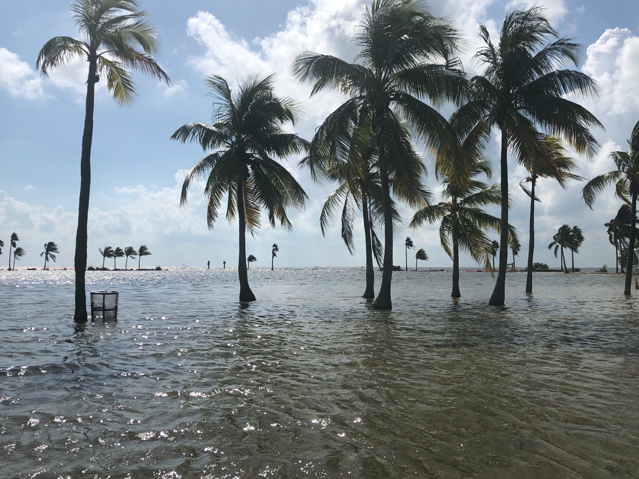 Miami Waterkeeper and Partners Submit Comments on Army Corps Back Bay Study