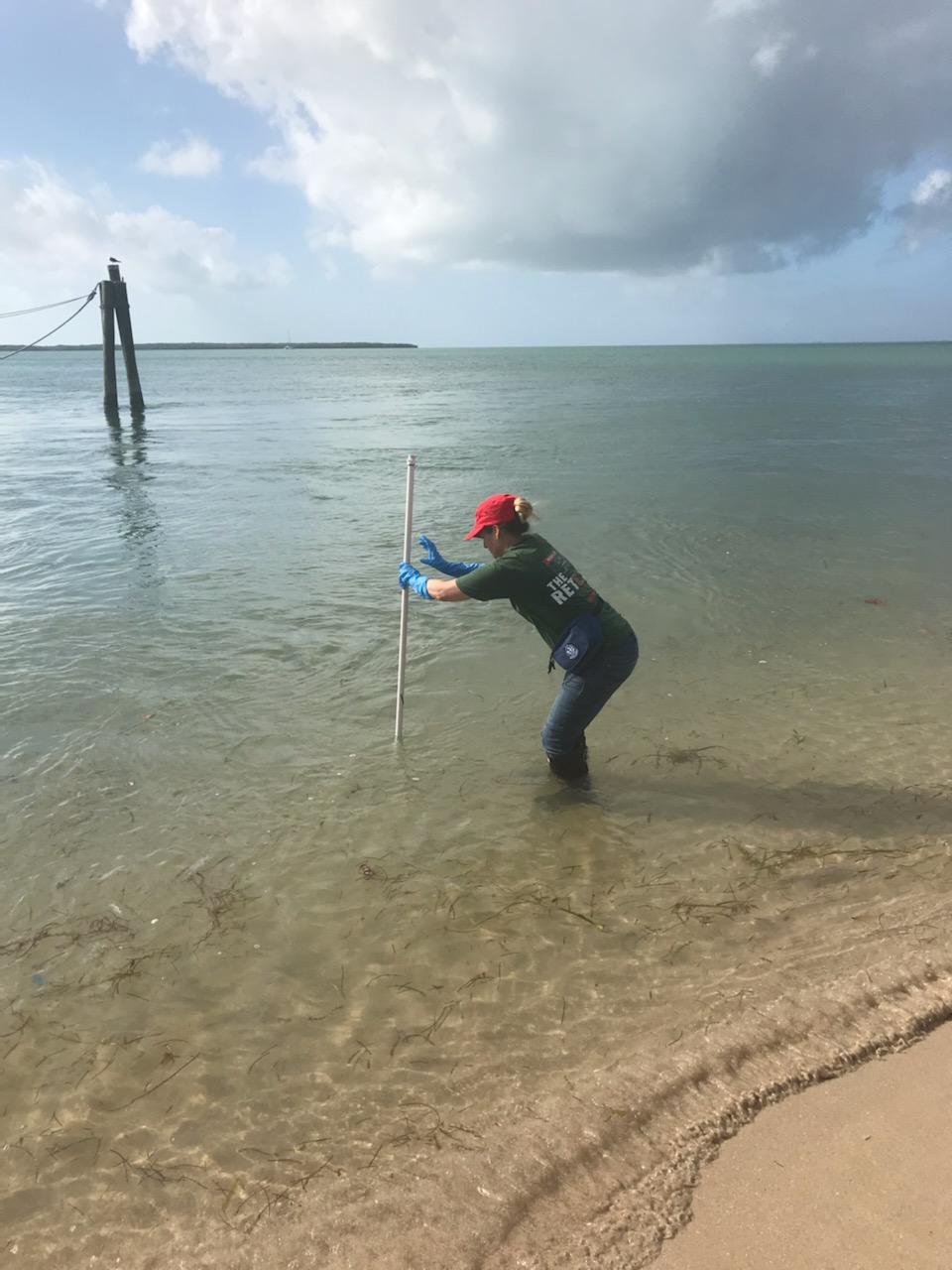 Our Water Quality Monitoring Program is Back Online! Here’s How to Find the Results