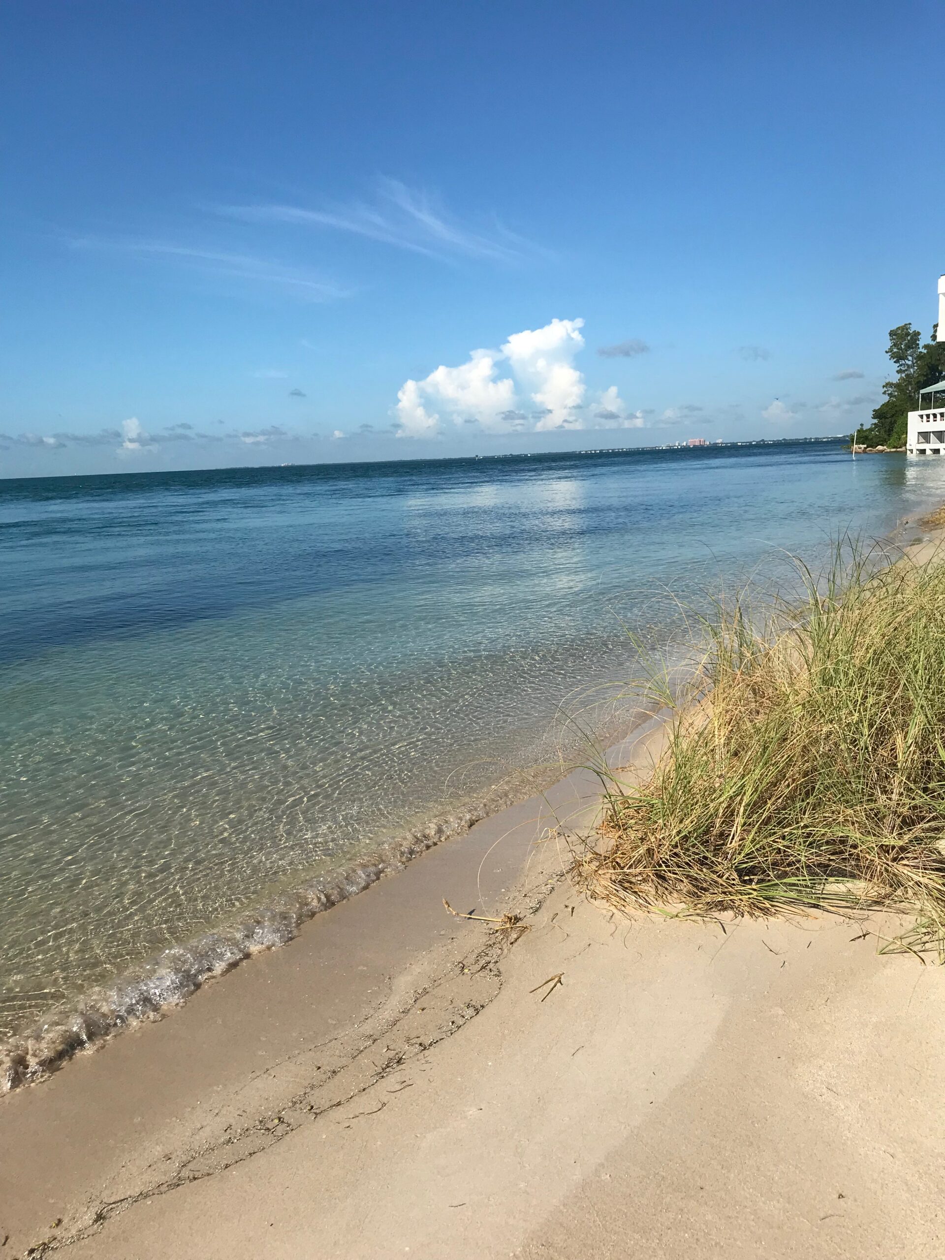 What’s in the Water: A Breakdown of Why We Sample