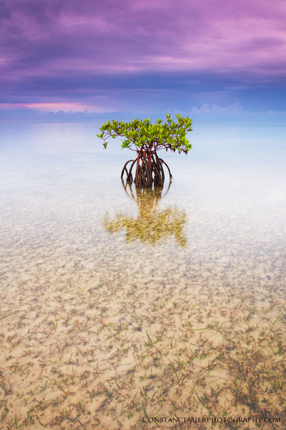 Miami-Dade County releases the Biscayne Bay Report Card