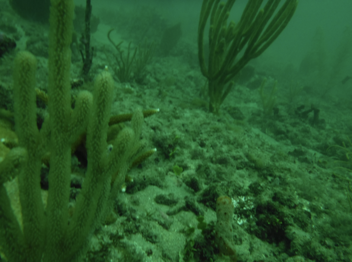 EPA Should Withdraw 2020 Clean Water Act Rule
