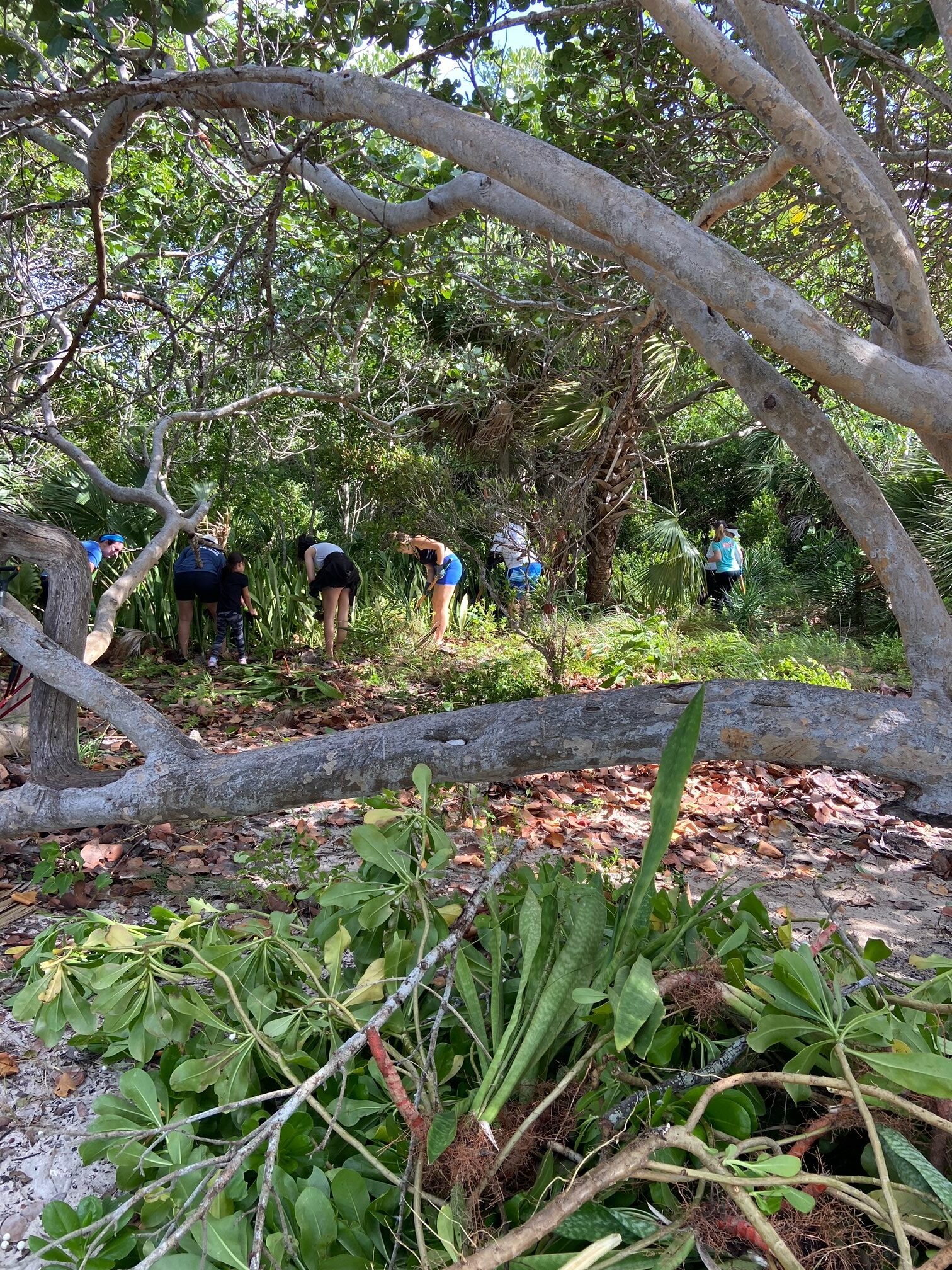 Miami Waterkeeper Welcomes Back Volunteers!