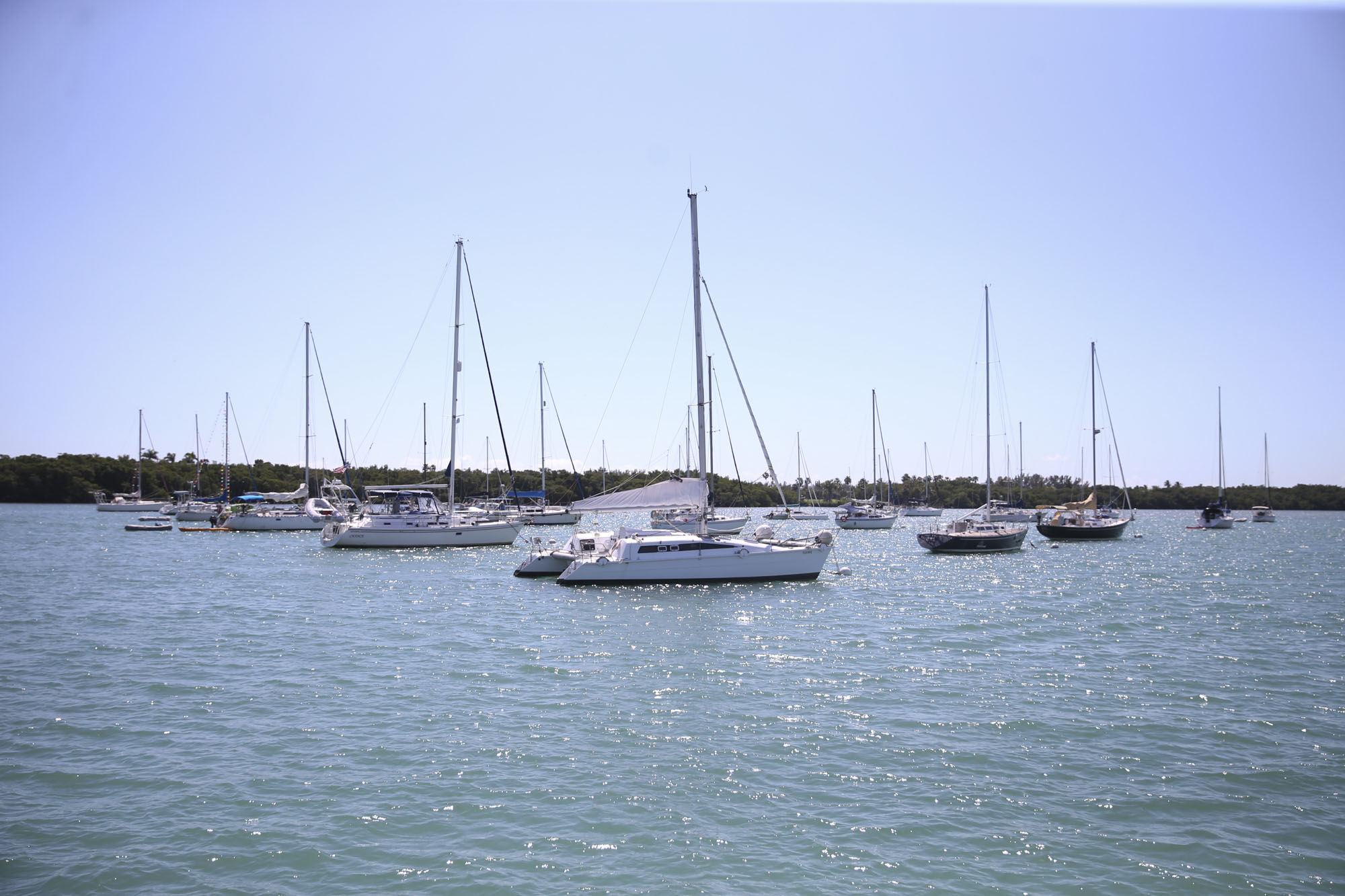 Miami-Dade’s 2022 Budget Invests in our Water!