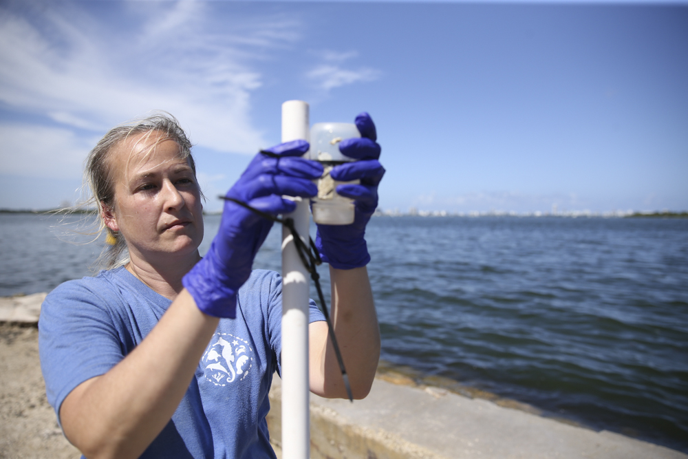 Miami Waterkeeper raises 2x fundraising goal on Give Miami Day 2021