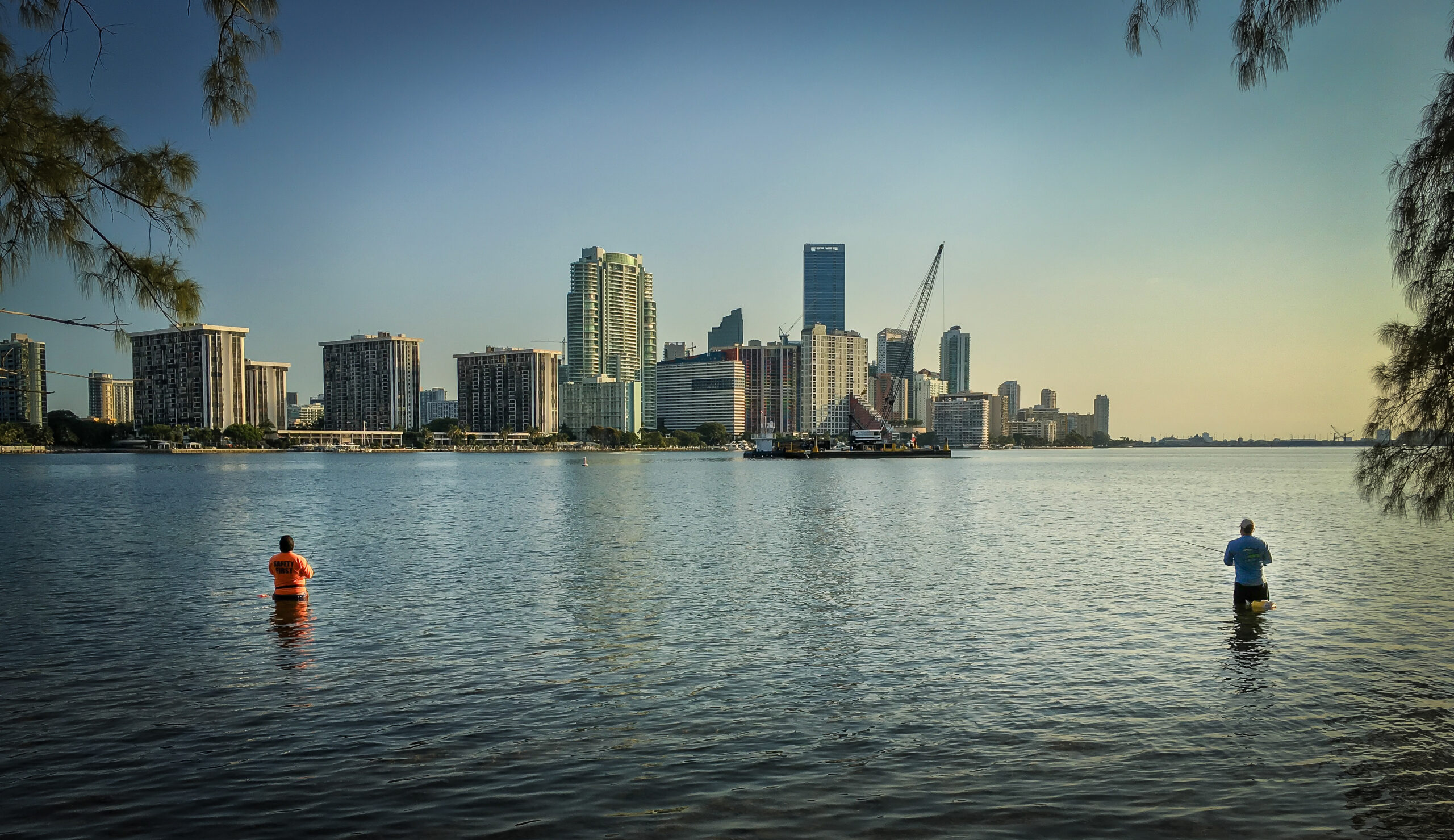 Miami Waterkeeper Works to Protect Florida’s Wetlands
