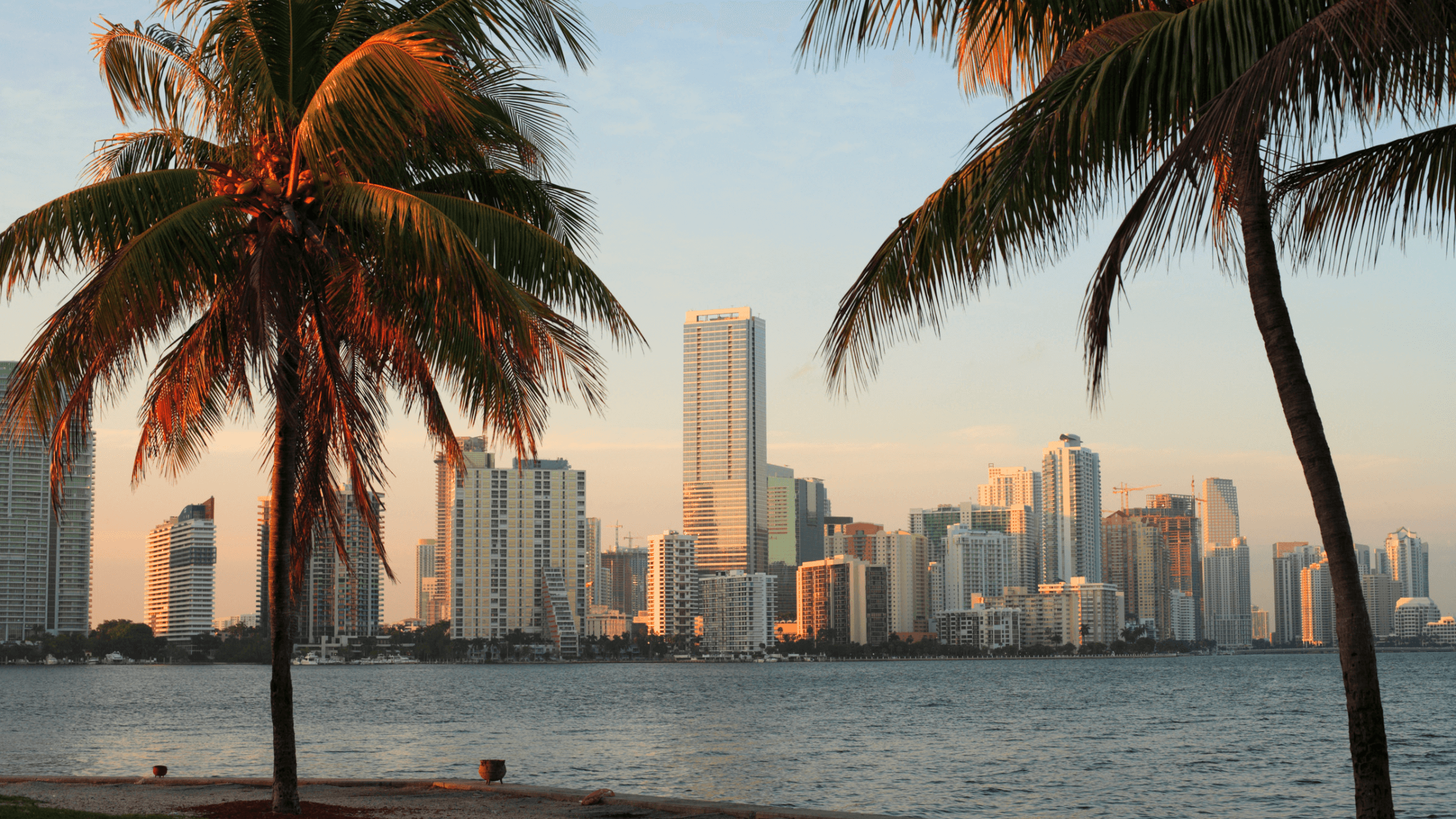 Welcoming Three New Directors to the Miami Waterkeeper Team