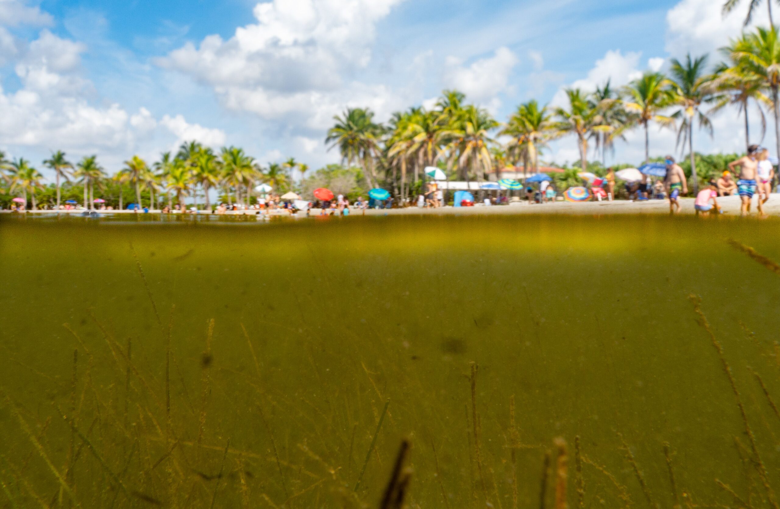 Water Win: Fertilizer Awareness Week Vote Passes Unanimously